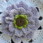 Kelebekli Battaniye 7 kelebekli battaniye 6