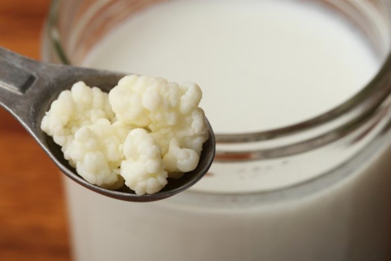 Kefir nedir,nasıl mayalanır?