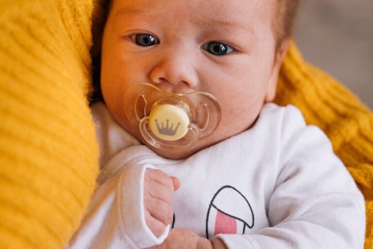 Bebeklere Emzik Verilmeli Mi?