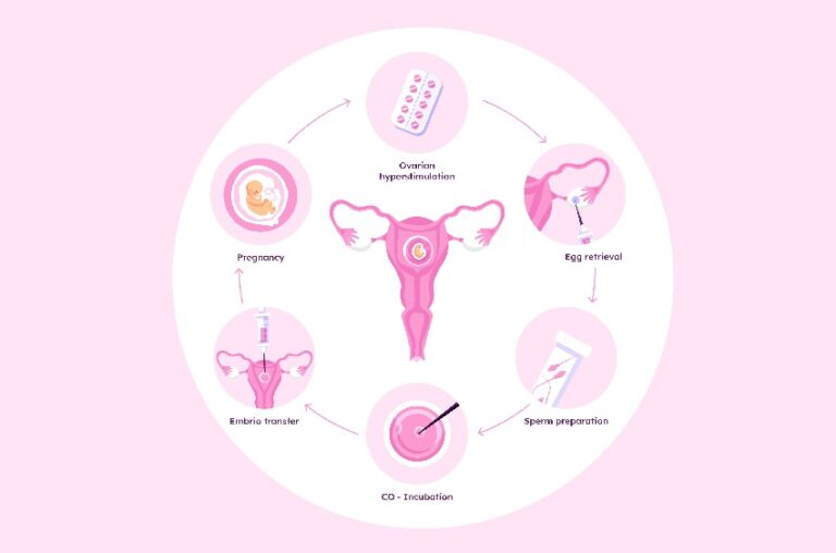 Gebelik Nasıl Oluşur?