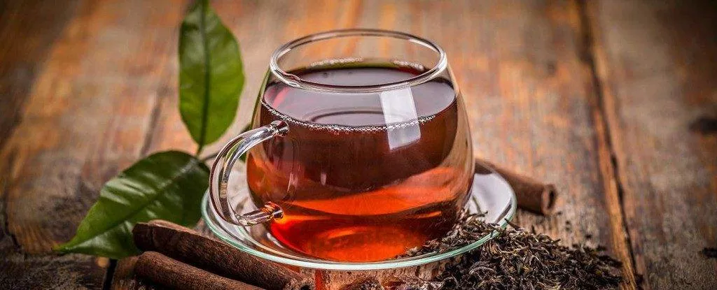 Siyah Çay Faydaları Nelerdir?