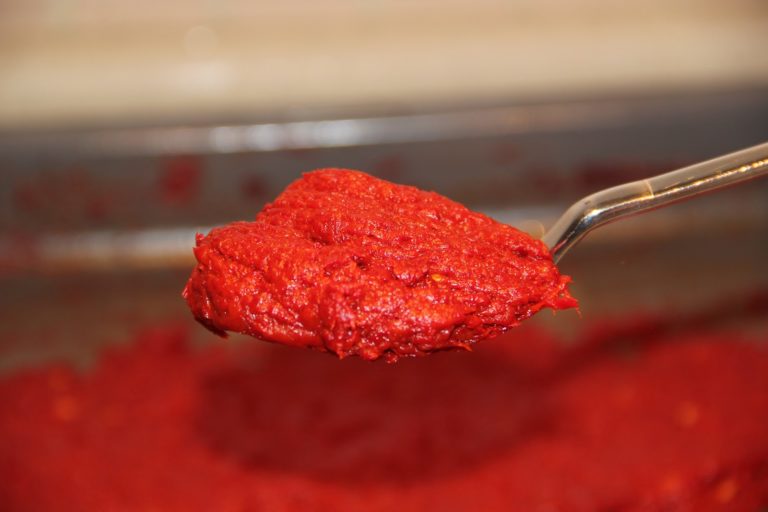 Ev Yapımı Domates Salçası