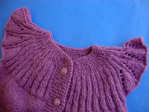 Eflatun Yelek 3 eflatun yelek 3