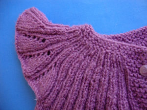 Eflatun Yelek 5 eflatun yelek 4