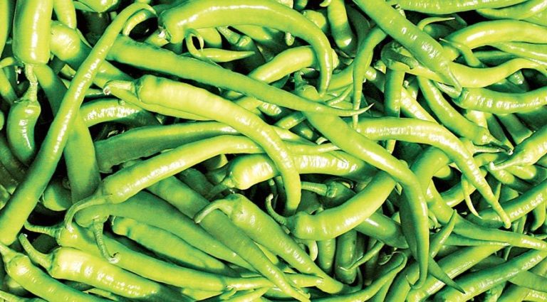 P Vitamini (biyoflavonoid)