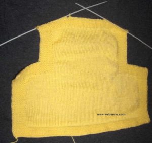 Bebek Yeleği 4 Bebek Yeleği