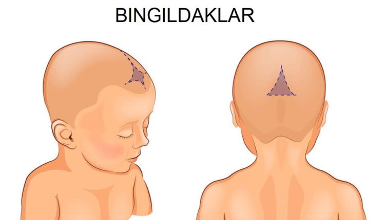 bingildaklar