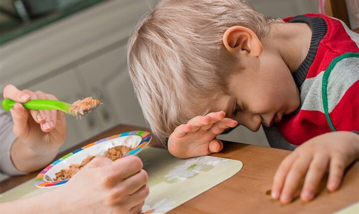 Çocuklarda Yemek Seçme Sorunu
