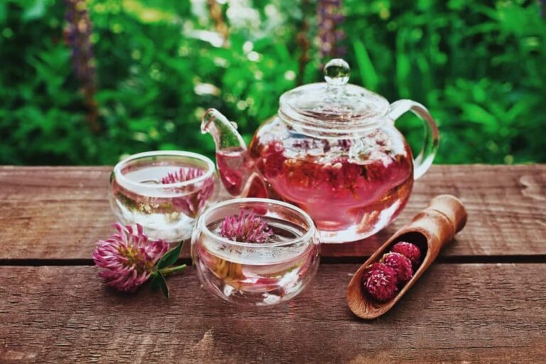 Kırmızı Yonca Bitkisi Kullanımı