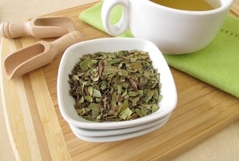 Ayı Üzümü Nedir? Ayı Üzümü Çayı Nasıl Yapılır?