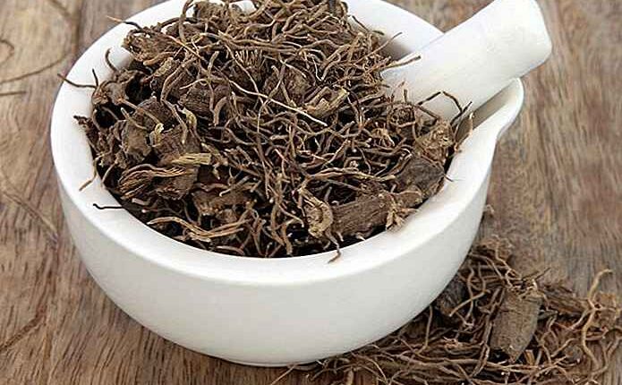 Menopoz için karayılan otu nasıl kullanılır? 