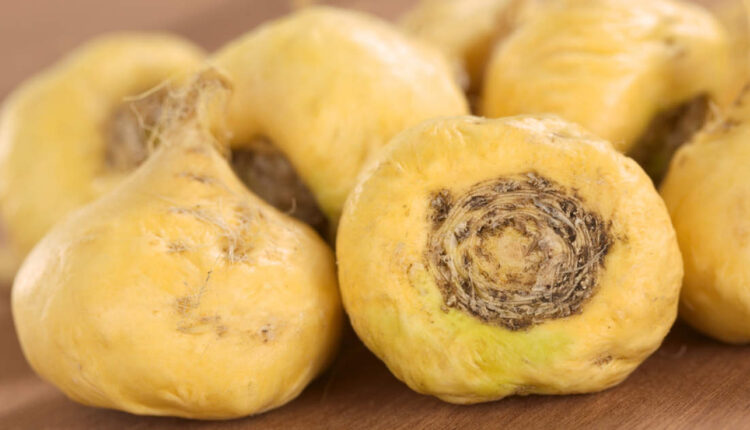  Maca kökü nedir ne işe yarar? 