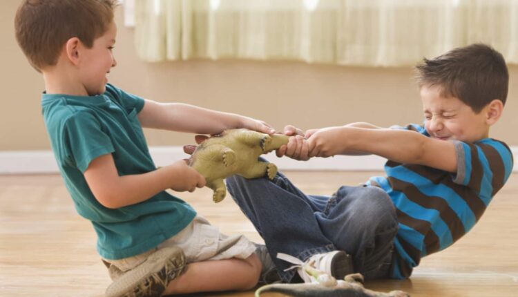 Kardeşler ve Rekabet