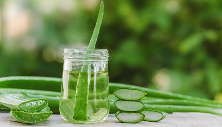 aloe vera suyu