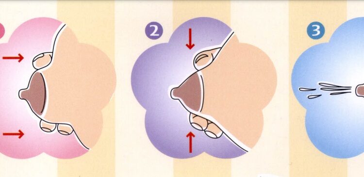 Anne sütü elle nasıl sağılır?