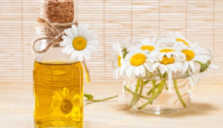 Papatyanın Cilde Faydaları Nelerdir?