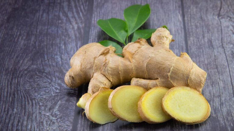 Zencefil mide için nasıl kullanılır?