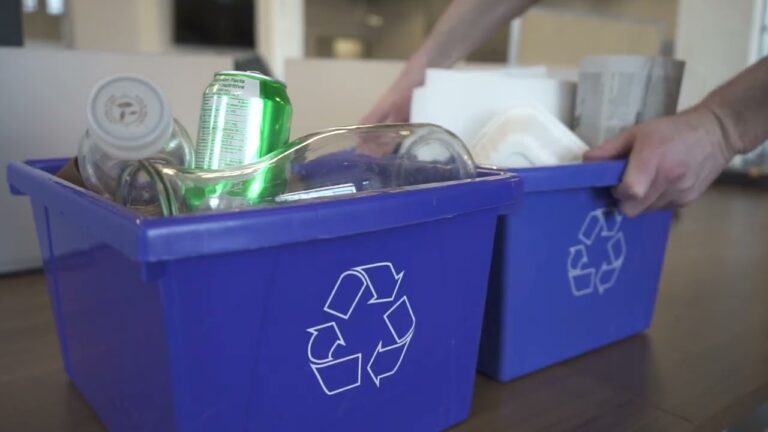 Çocuğunuza Atık Yönetimini Öğretmenin Yolları