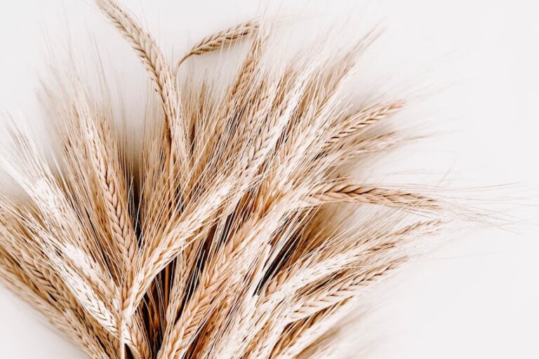 Glutensiz Beslenmek Zayıflatır Mı?