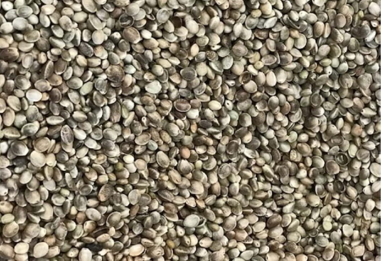 Çedene Nedir? Ne İşe Yarar?