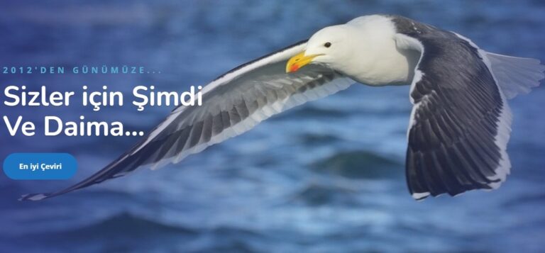 Tercüme Bürosu ve Tercüme Fiyatları