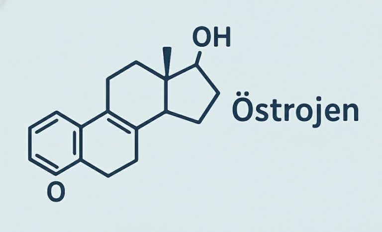 Östrojen Baskınlığı Nedir? Zayıflamayı Etkiler mi?
